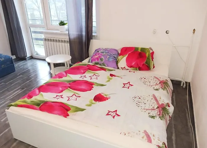 B&B Glinik 81