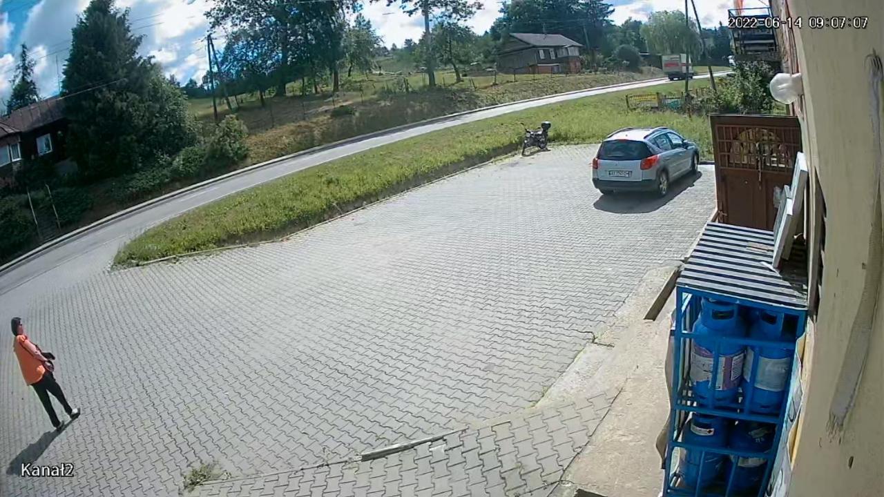 81