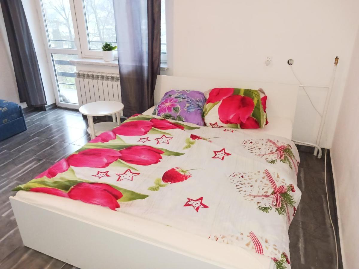 Apartment 81 Glinik